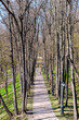 path in the park Moscow