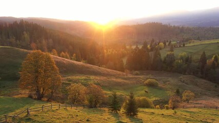 Wall Mural - flying over the beautiful autumn hills of the countryside and colorful mountains glowing with bright
