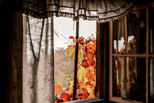 Beautiful Shot Of An Autumn View From A Window
