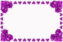 Valentine's Day Card. Purple Flower Petals In Shape Of Hearts On White Background With Mockup; Copy Space.