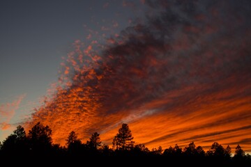 Wall Mural - fire in the sky