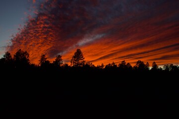 Wall Mural - fire in the sky