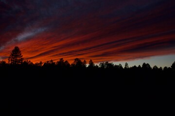 Wall Mural - sunset in the mountains