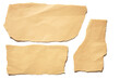 collection real brown paper torn or ripped pieces of paper in white background
