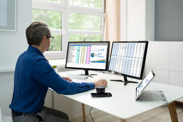 Poster - Analyst Employee Using Spreadsheet Software