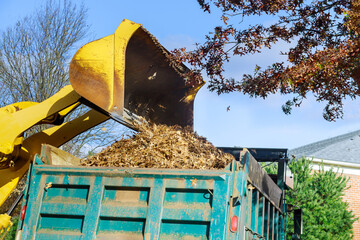 Wall Mural - City improvement on teamwork cleaning autumn leaves in the with tractor fallen leaves into the car