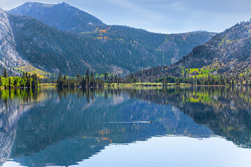 Canvas Print - Magnificent Silver Lake, California.