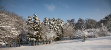 February And A Heavy Snowfall Covers The Land Arround The Yorkshire Dales Smallholding