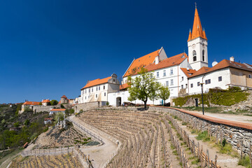 Fototapete - Town Vineyard Znojmo, South Moravia Czech Republic