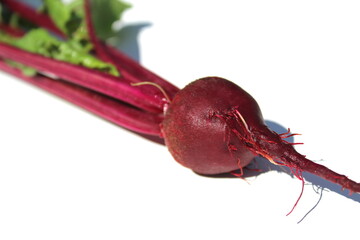 Small red beet lies on a white background