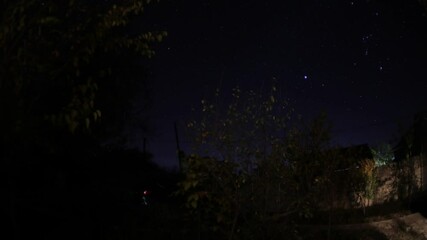 Wall Mural - Timelapse of stars over trees at summer night . Beautiful view of Milky way at night sky.