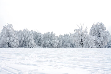 Mesmerizing shot of beautiful snow-covered trees under a cloudy sky