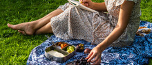 Young Woman Having A Picnic Outside Sitting On Blanket On Grass And Eating Food From Reusable Stainless Steel Lunch Box. Vacation, Healthy Lifestyle, Zero Waste And Sustainable Plastic Free Concept