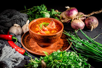 Wall Mural - Tomato soup with meat and vegetables, pepper chili, smoked paprika, decorated with green in a dark brawn bowl on dark background