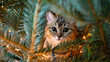 young cat with big beautiful eyes sits on a Christmas tree