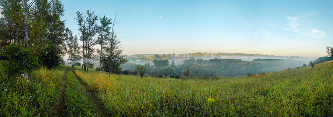 Wall Mural - Serene summer landscape with green hills and trees during foggy morning