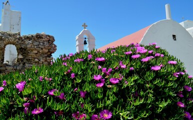 Himmel über Griechenland und blumen