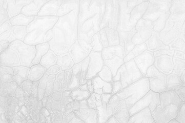 Wall Mural - abstract of cement cracked texture on old white masonry wall