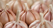 © Евгений Логвиненко - fresh garlic closeup rotating. Eco friendly food concept