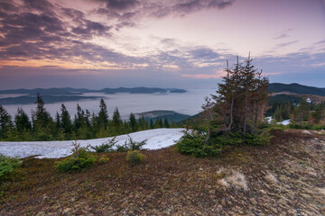 Wall Mural - Beautiful sunrise in the Carpathian mountains with fog and dramatic sky