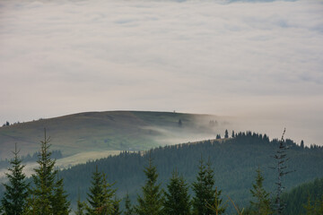 Wall Mural - Beautiful sunrise in the Carpathian mountains with fog and dramatic sky