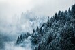 Moody snow covered forest landscape with blue fog and mist in the mountains