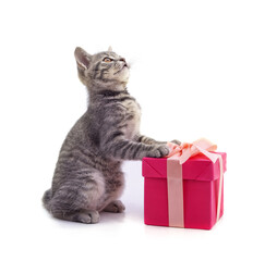 Canvas Print - Kitten and gift.