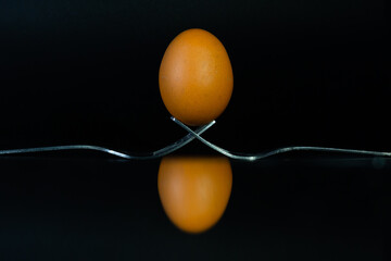 brown egg resting vertically on forks with black background