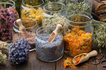 Wall Mural - Glass jars of dry lavender and calendula flowers. Jars of dry medicinal herbs for making herbal tea, bunch of dry lavender on table. Alternative medicine.