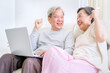 © Creativa Images - Smiling old couple using a laptop at home