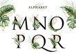 © colovecto - Alphabet set of M  N  O  P  Q  R with tropical leaves watercolor and gold leaves. For logo, initial name, branding, card, identity, etc.