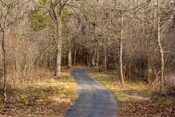 Wall Mural - Idyllic autumn landscape of a wooded forest area with bare trees and leaf covered ground, with a winding paved walking trail