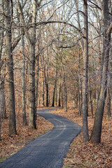 Wall Mural - Idyllic autumn landscape of a wooded forest area with bare trees and leaf covered ground, with a winding paved walking trail