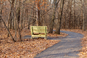 Wall Mural - Idyllic autumn landscape of a wooded forest area with a park bench and bare trees and leaf covered ground, with a winding paved walking trail