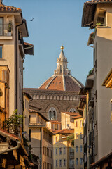 Wall Mural - View of the dome of Il Duomo church seen down a side street between buildings in the centre of Florence