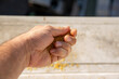 © bahadirbermekphoto - close view, male hand holding birdseed in palm to feed the birds