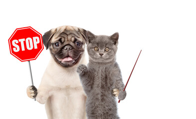 Poster - Cat and dog hold 