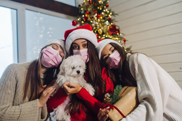  Three girls and a terrier posing for the camera on new year's eve