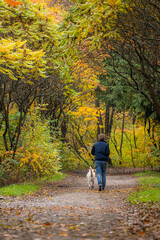 Poster - Dog and a young man owner have fun in the park. Concept of friendship, pets, togetherness. High quality photo. View from the back.