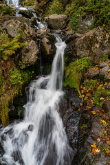 Poster - Beautiful shot of the picturesque Waterfall Todtnau in the Black Forest, Germany