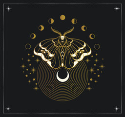 Wall Mural - moth and cycles of the moon, mystical symbol