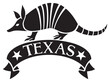 Texas design with armadillo animal and banner