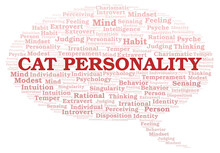 Cat Personality Typography Word Cloud Create With The Text Only.