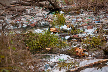 Wall Mural - environmental problem in Ukraine 2021