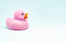 The Profile Of A Pink Rubber Duck With An Orange Beak Isolated On A White Background
