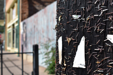 Canvas Print - Closeup of remaining staples from multiple fliers on a bulletin board