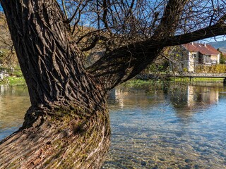 Canvas Print - rural