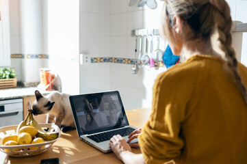 Wall Mural - Cute lovely cat playing on the table while her smiling owner working with laptop in the kitchen at home.