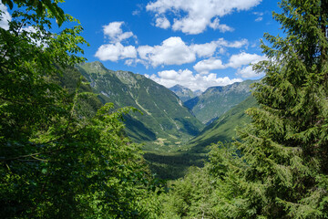 Canvas Print - Lepena mountain valley in Slovenia