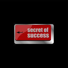Poster - secret of success button on computer keyboard key